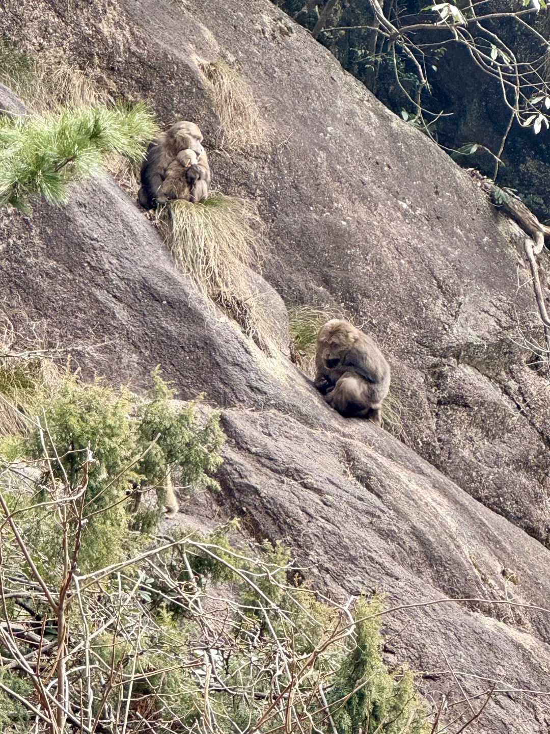 徐霞客我下次还信你！黄山的落日初雪和星星