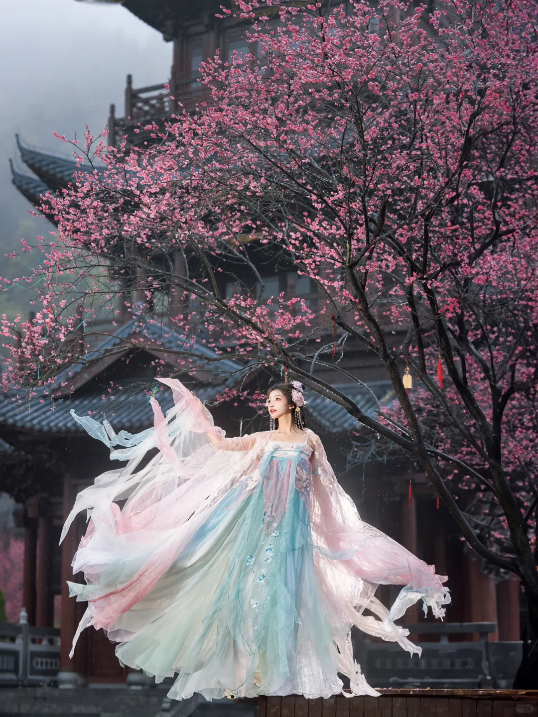 “风有约，花不误”仿佛来了梅花乡