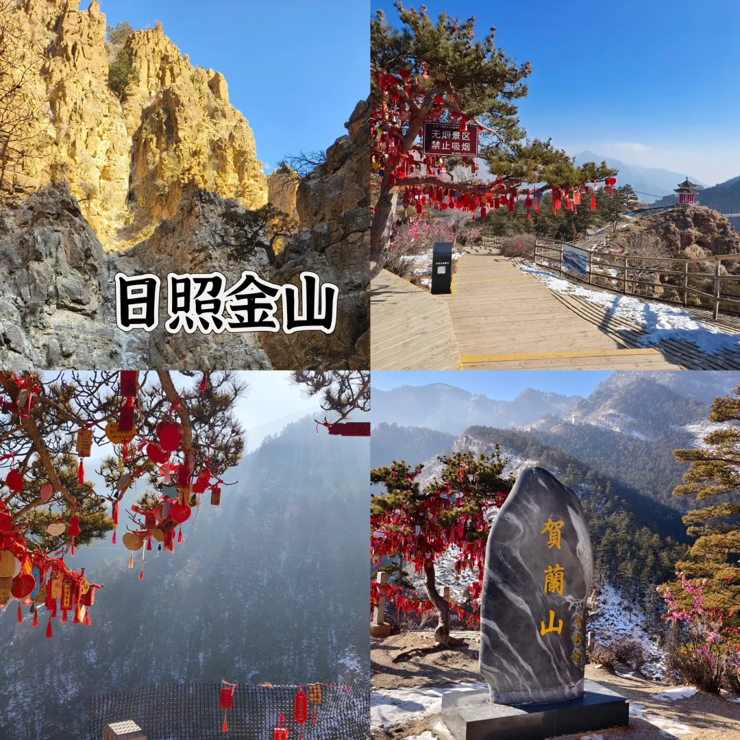 🚌景区直通车直达｜贺兰山国家森林公园