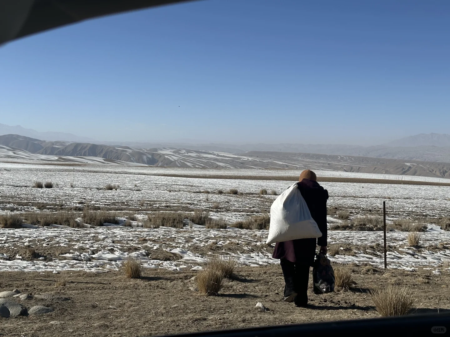 因为共情是善良者的天赋。