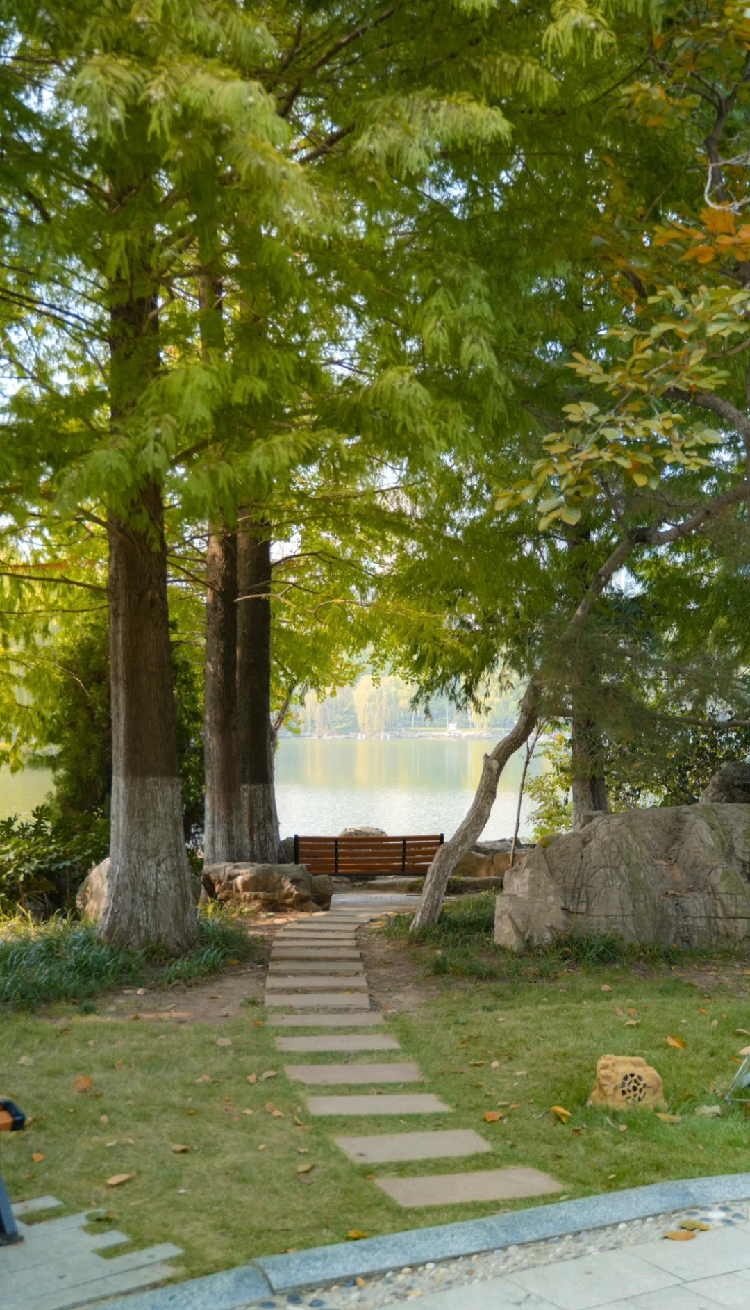 为了这18张图去了趟山东临沂……（附机位📍