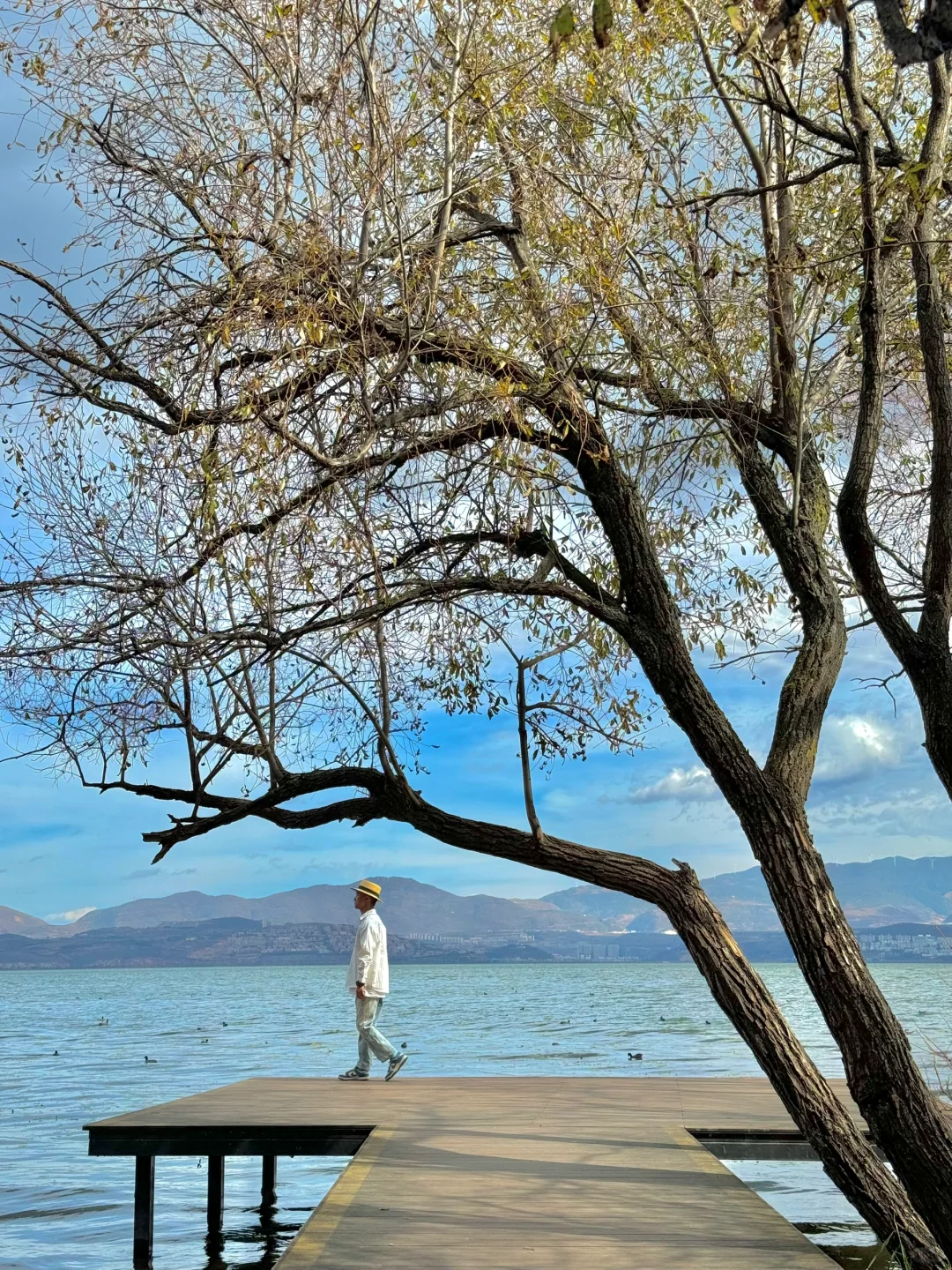 淡季的大理简直是人间理想！！美到封神！！！