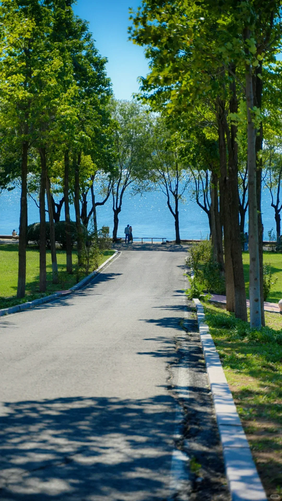 为了这18张图去了趟山东临沂……（附机位📍