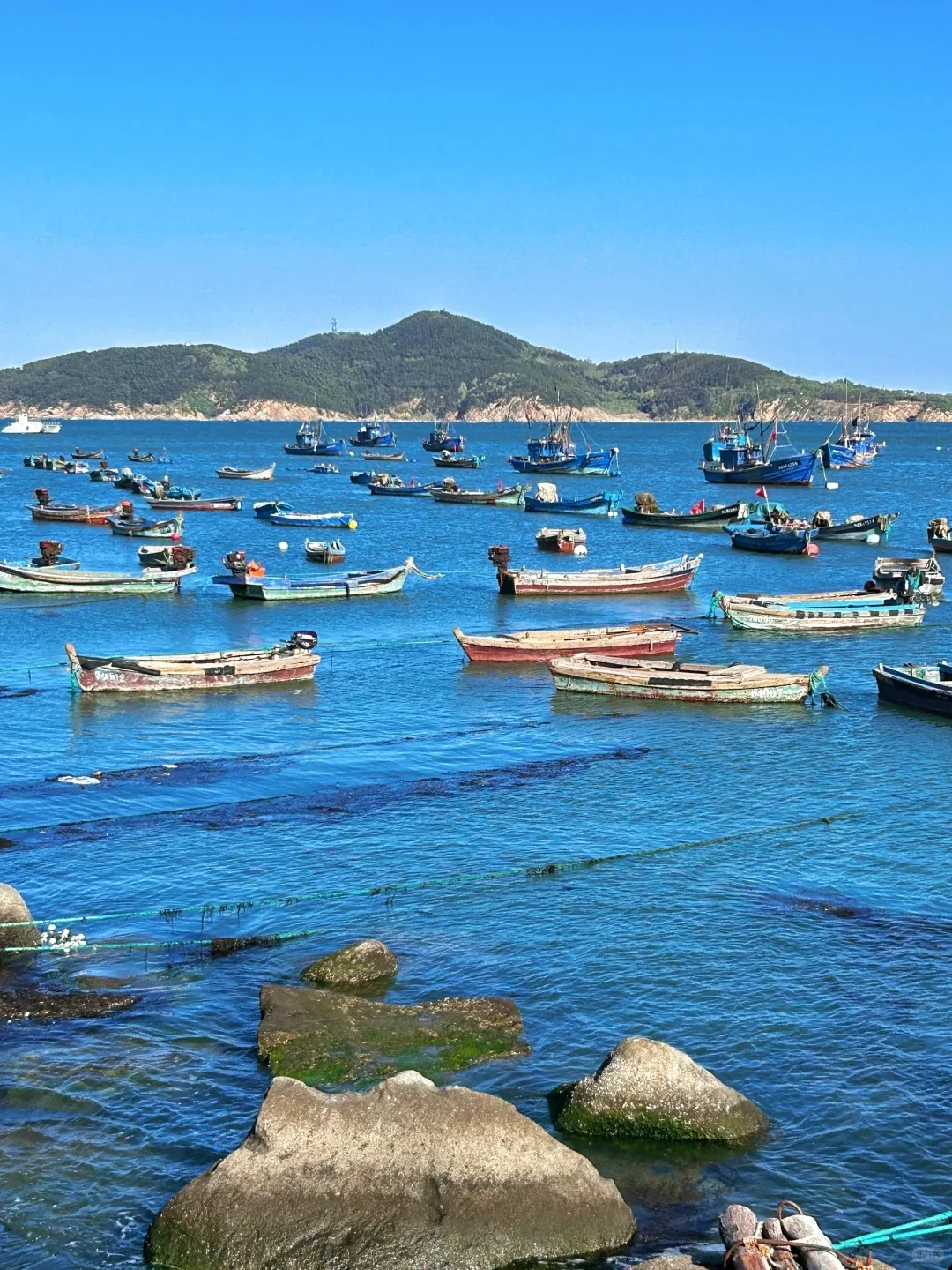 📍威海/三天两夜精华版旅游攻略❗️