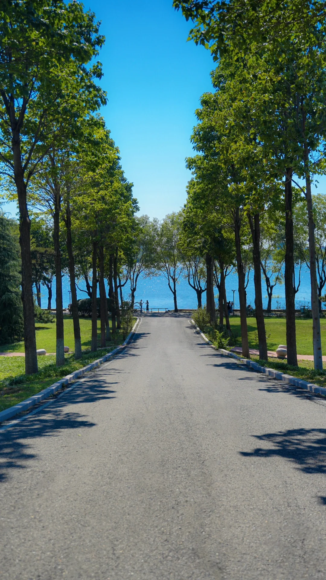 为了这18张图去了趟山东临沂……（附机位📍