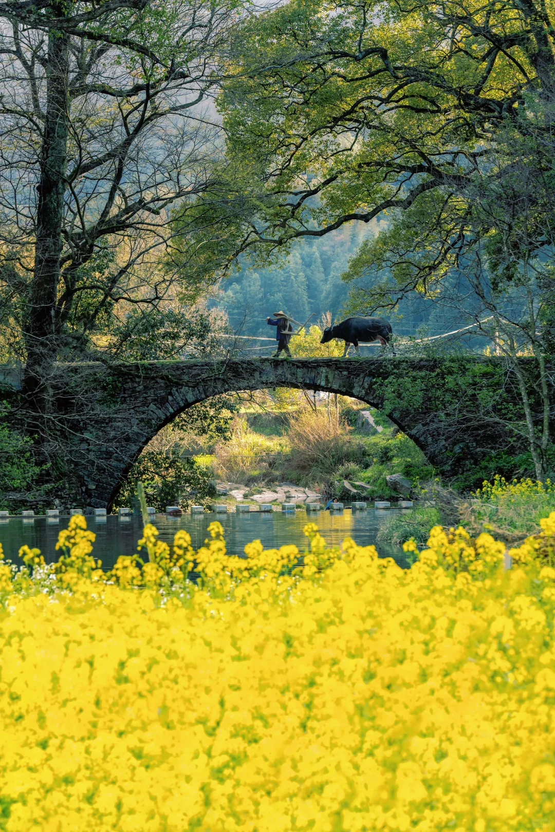 比起景德镇，我更爱这被国家地理推荐的小城