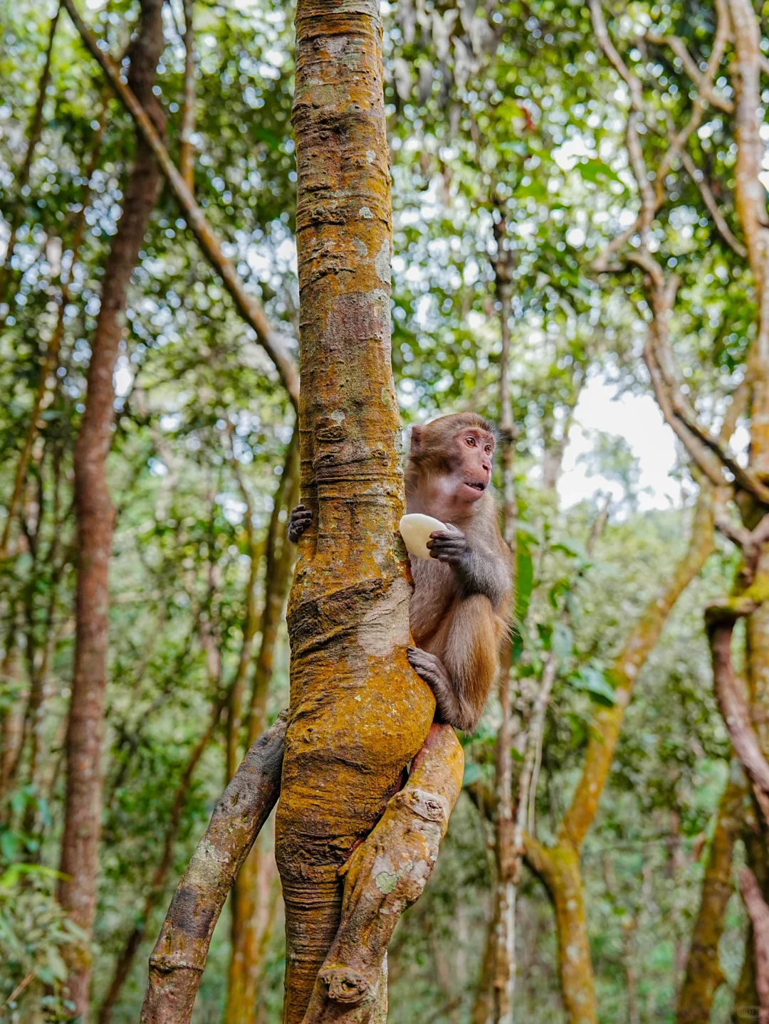 普洱和版纳已回，还没来的姐妹，挺点大实话