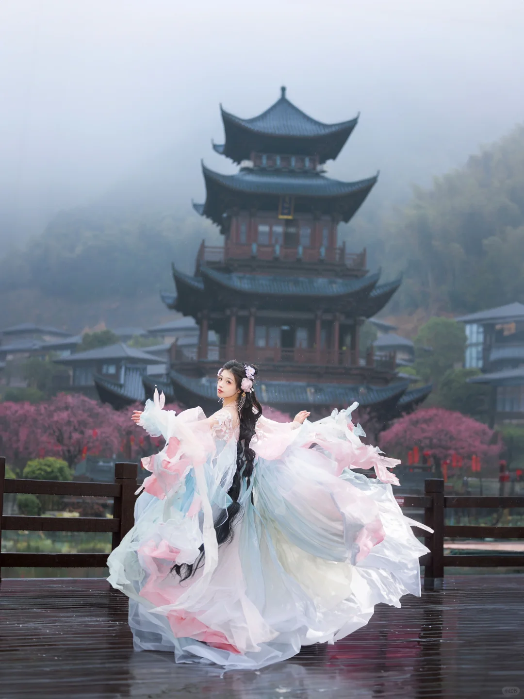 “风有约，花不误”仿佛来了梅花乡