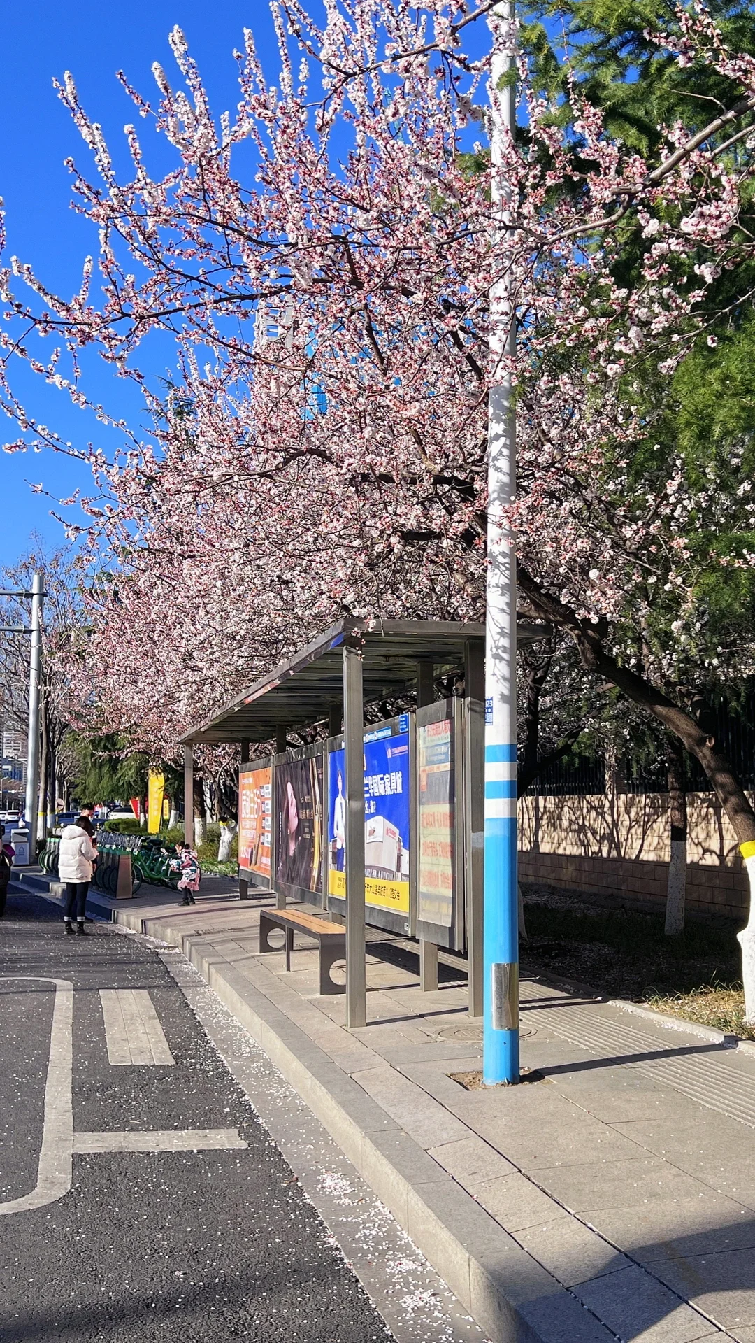 为了这18张图去了趟山东临沂……（附机位📍