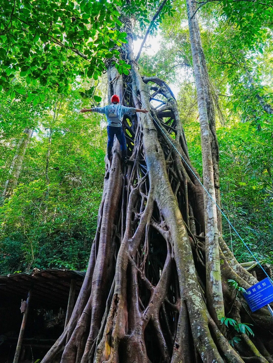 普洱和版纳已回，还没来的姐妹，挺点大实话