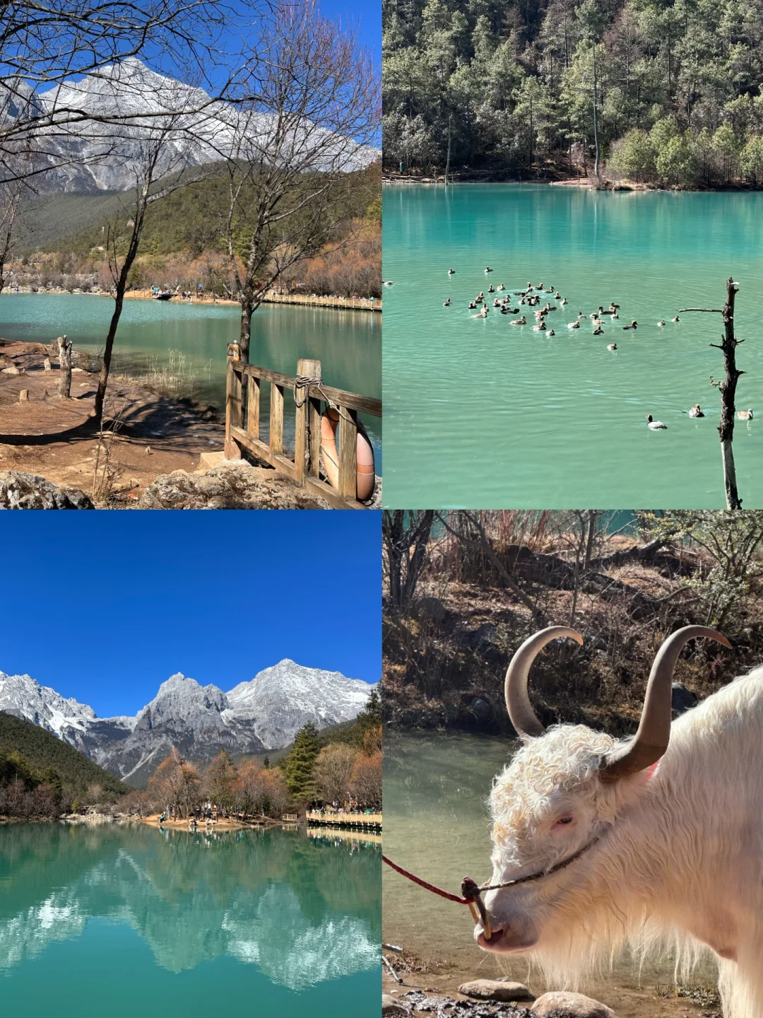 丽江省心旅游攻略🏔️三天两晚（附详细路线）！