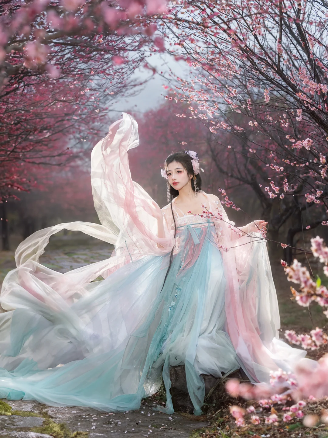 “风有约，花不误”仿佛来了梅花乡