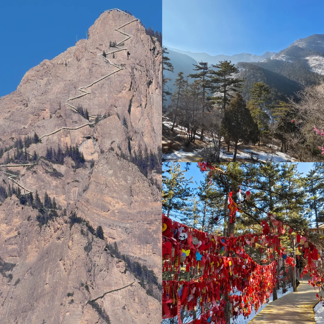 🚌景区直通车直达｜贺兰山国家森林公园