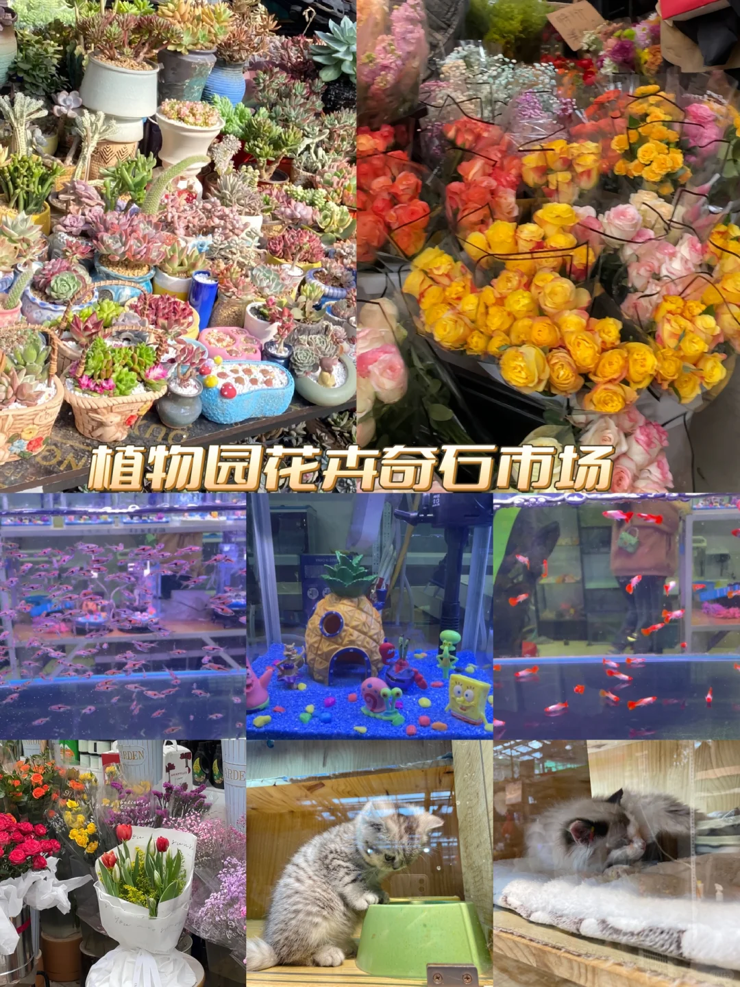 姐妹们要的徐州旅游攻略来喽😎