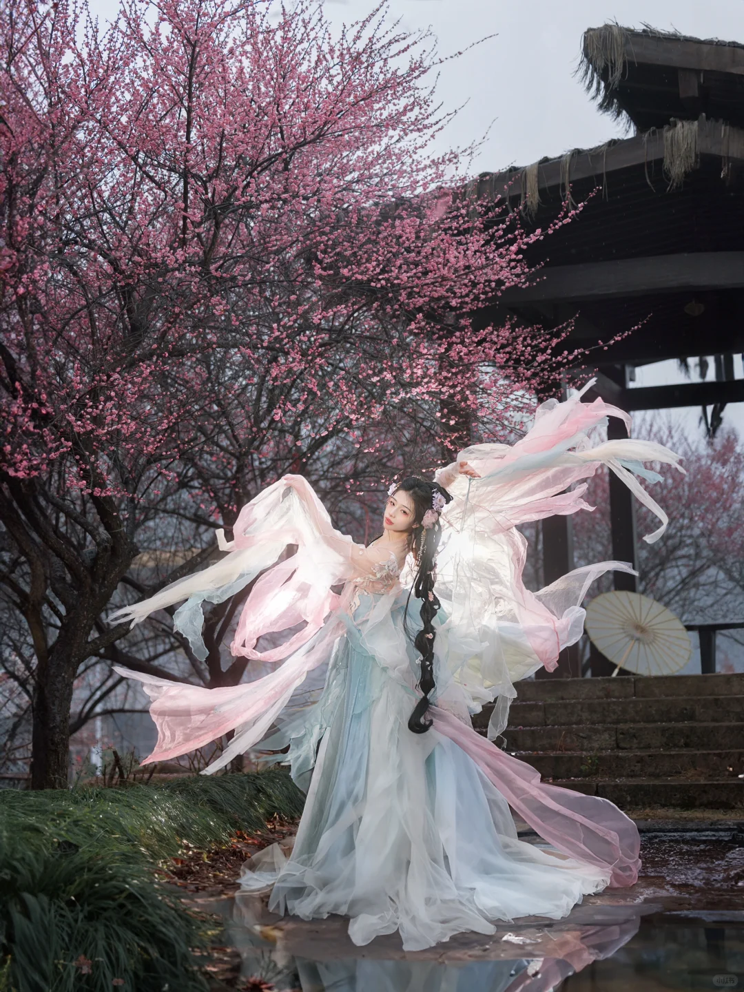 “风有约，花不误”仿佛来了梅花乡