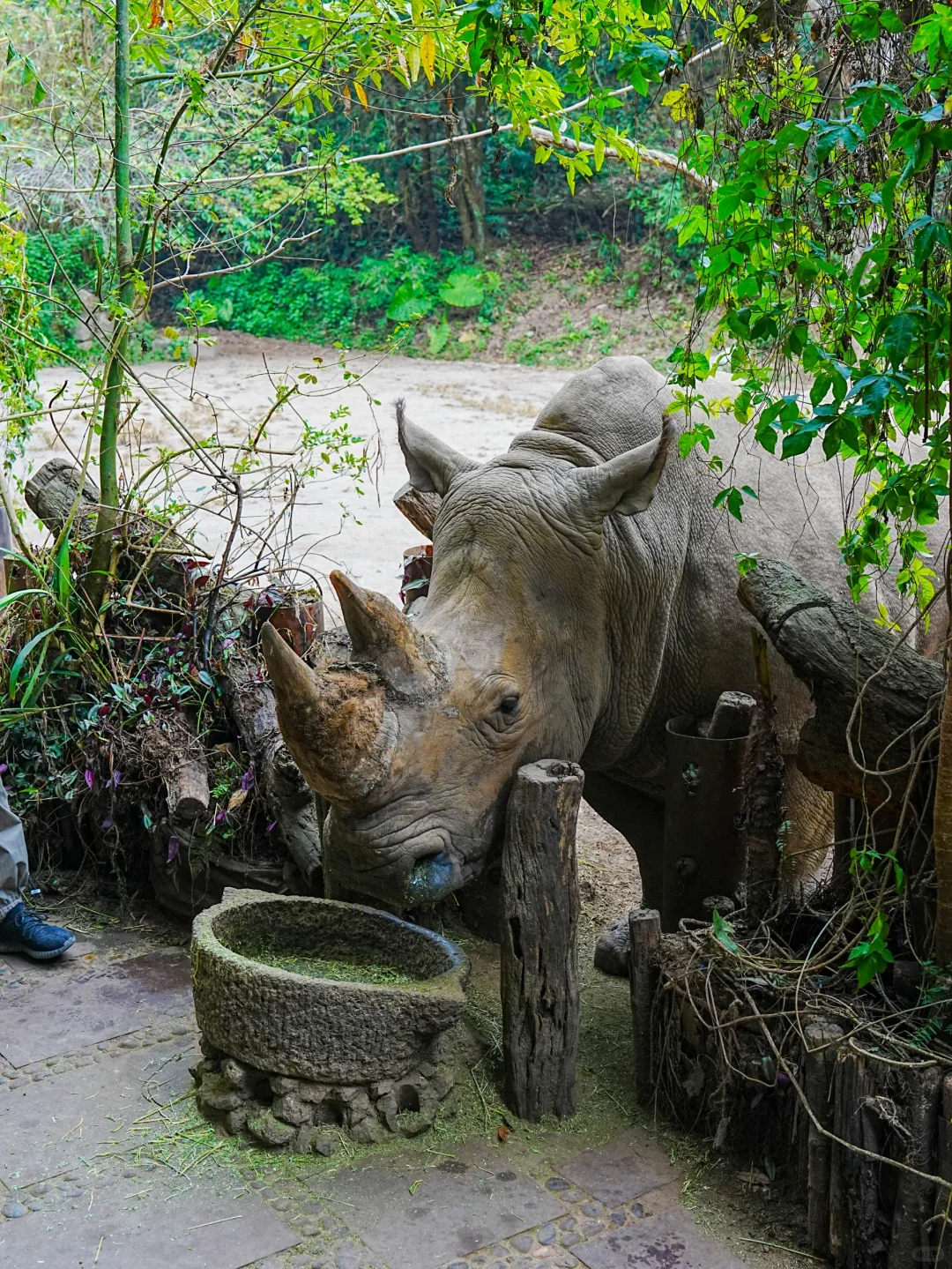 普洱和版纳已回，还没来的姐妹，挺点大实话