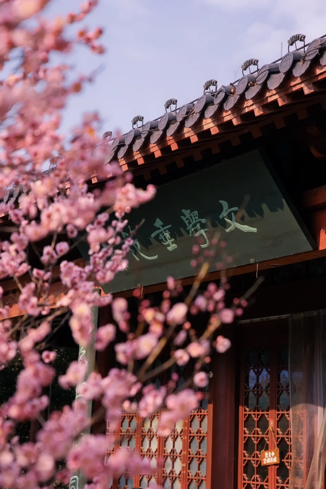 南京的春天是一万次的春和景明🌸