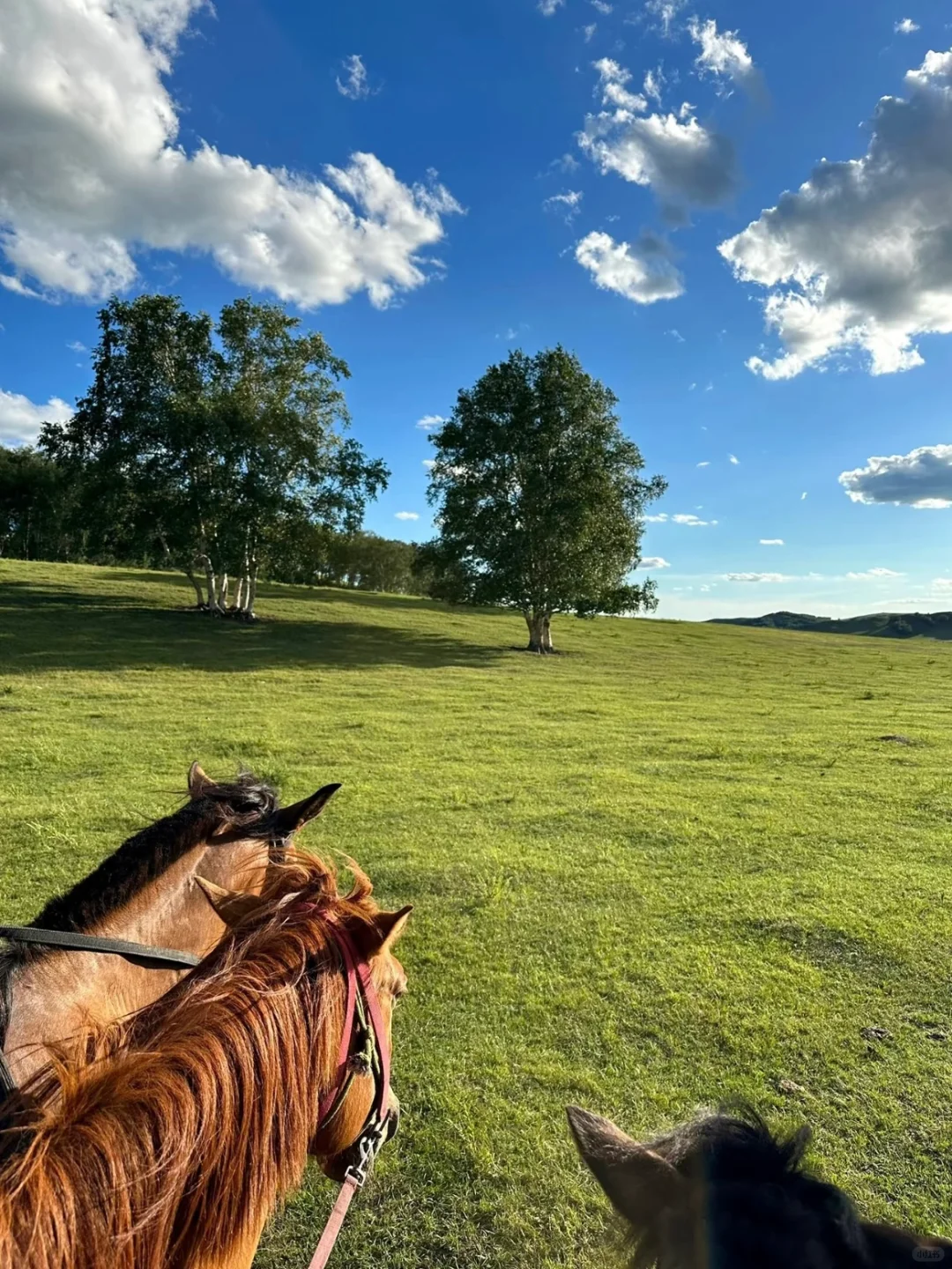 能劝一个是一个，3-5月不要盲目去内蒙古……