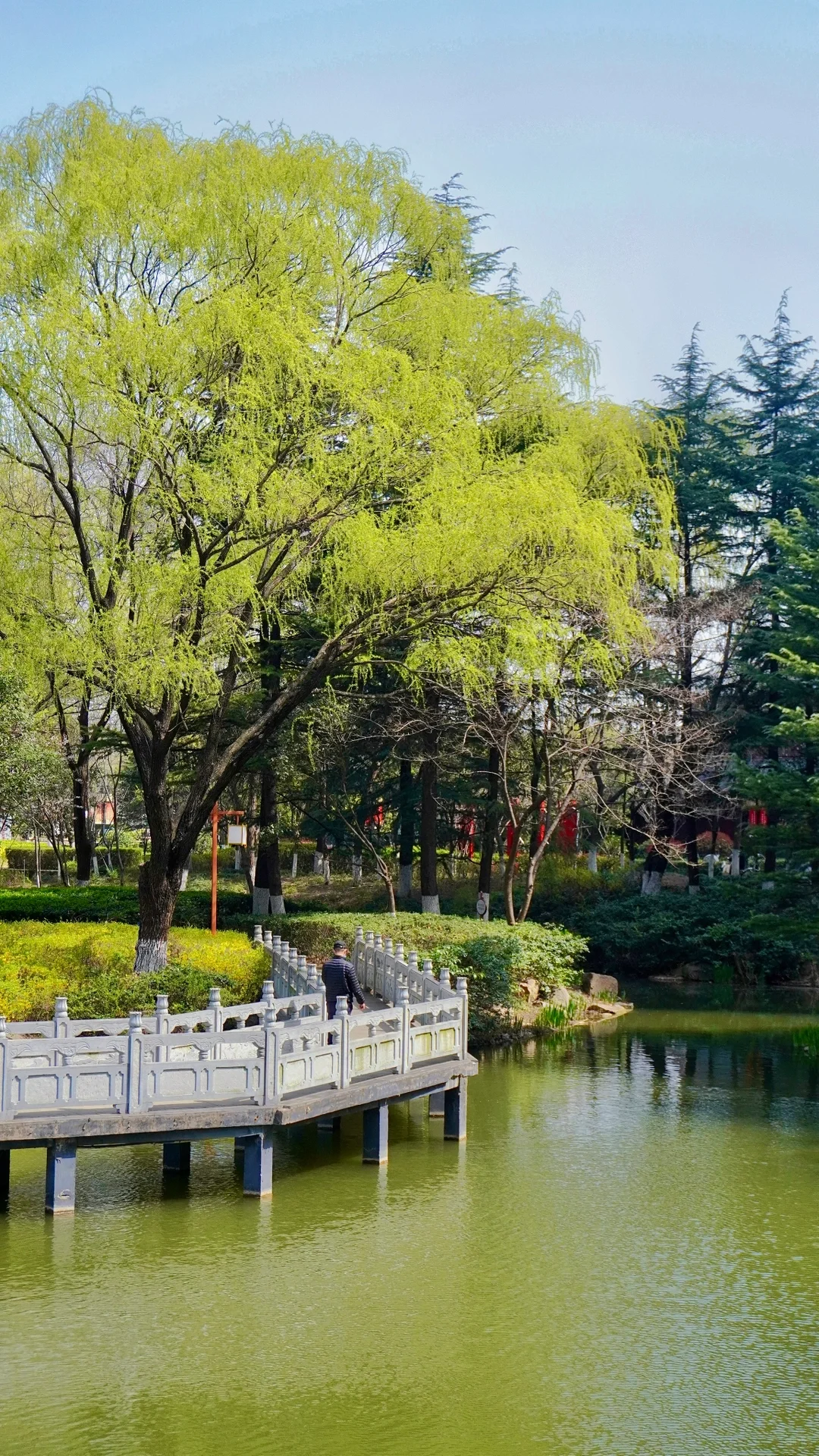 为了这18张图去了趟山东临沂……（附机位📍