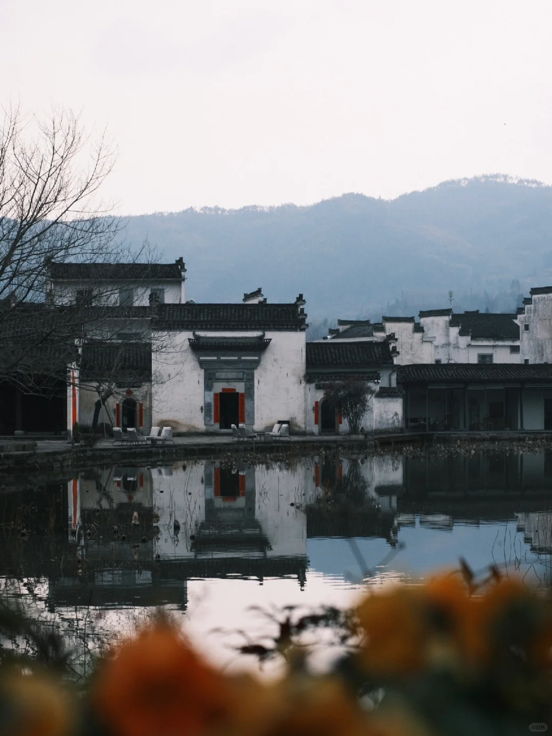 早春的徽州真的很美