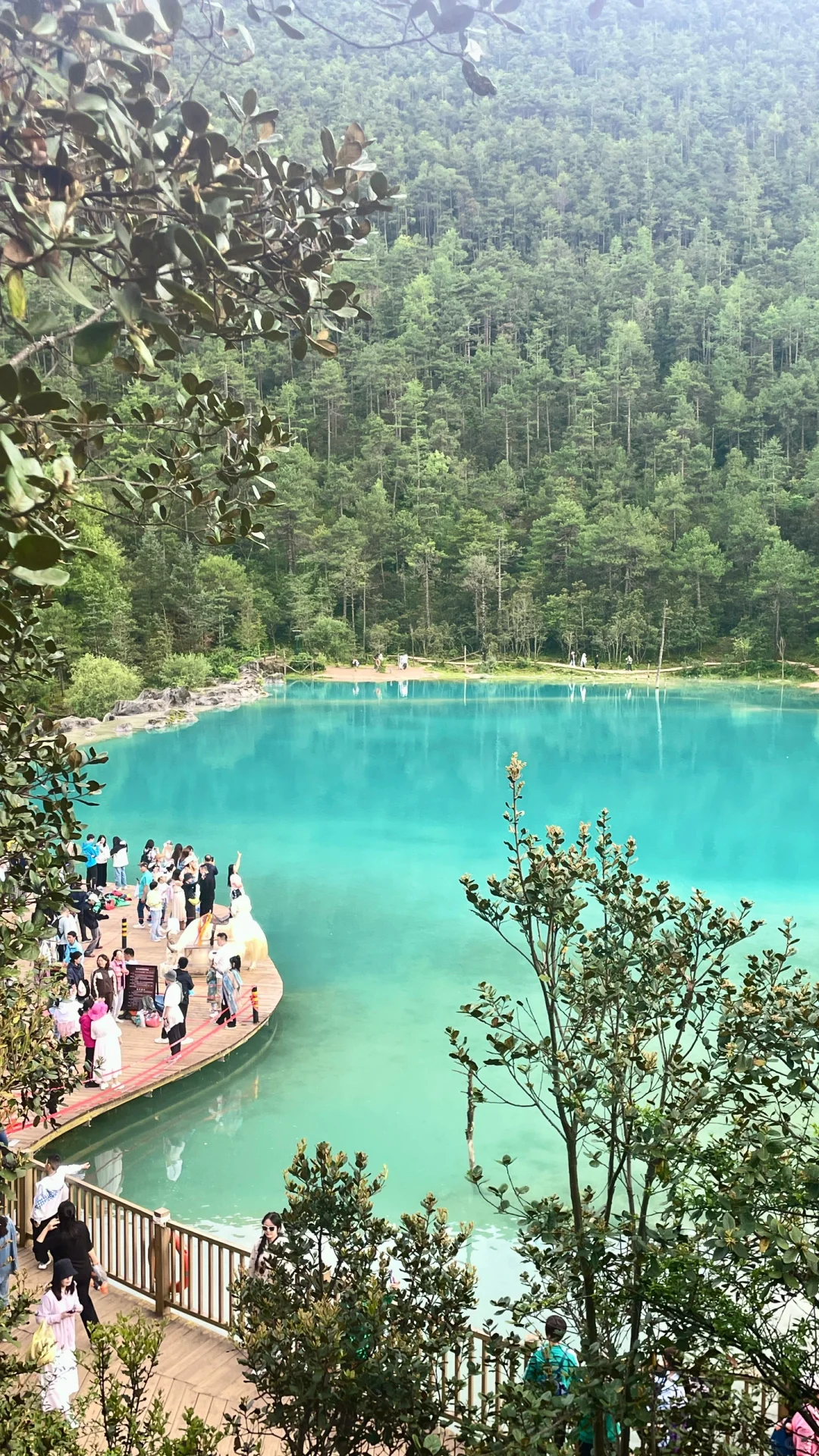 玉龙雪山不去冰川公园攻略