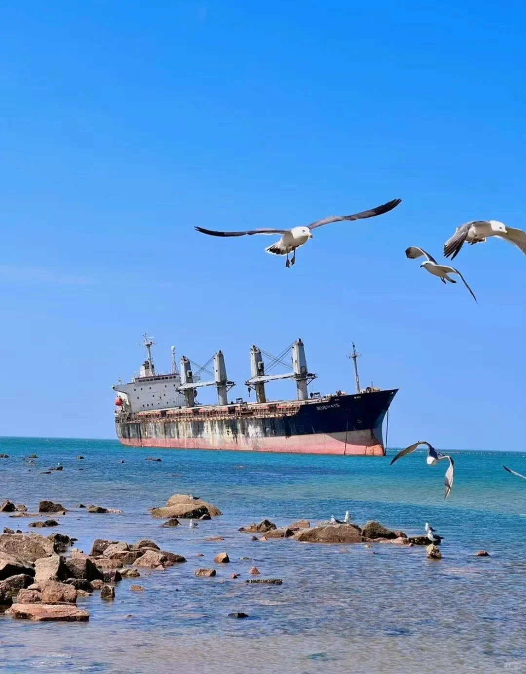 📍威海/三天两夜精华版旅游攻略❗️