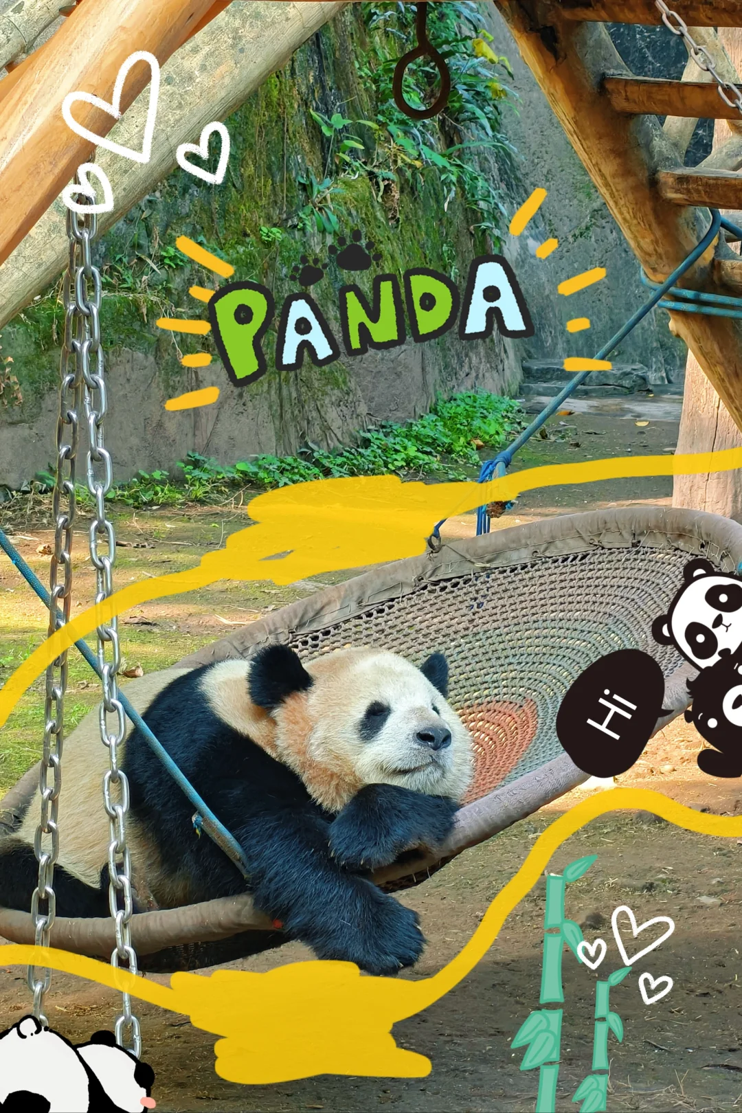 三月想去重庆旅游的宝子看过来!🍲