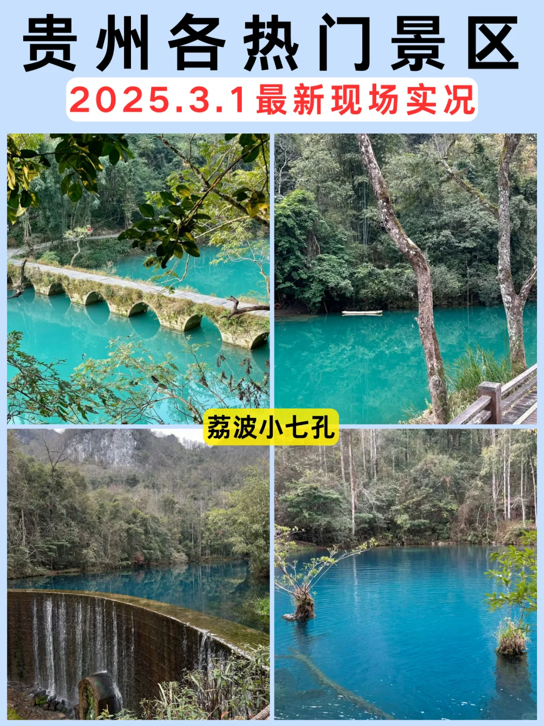 🌸【3月1日贵州热门景区实况】🌸