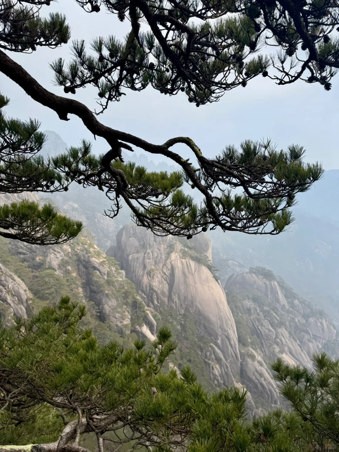 徐霞客我下次还信你！黄山的落日初雪和星星