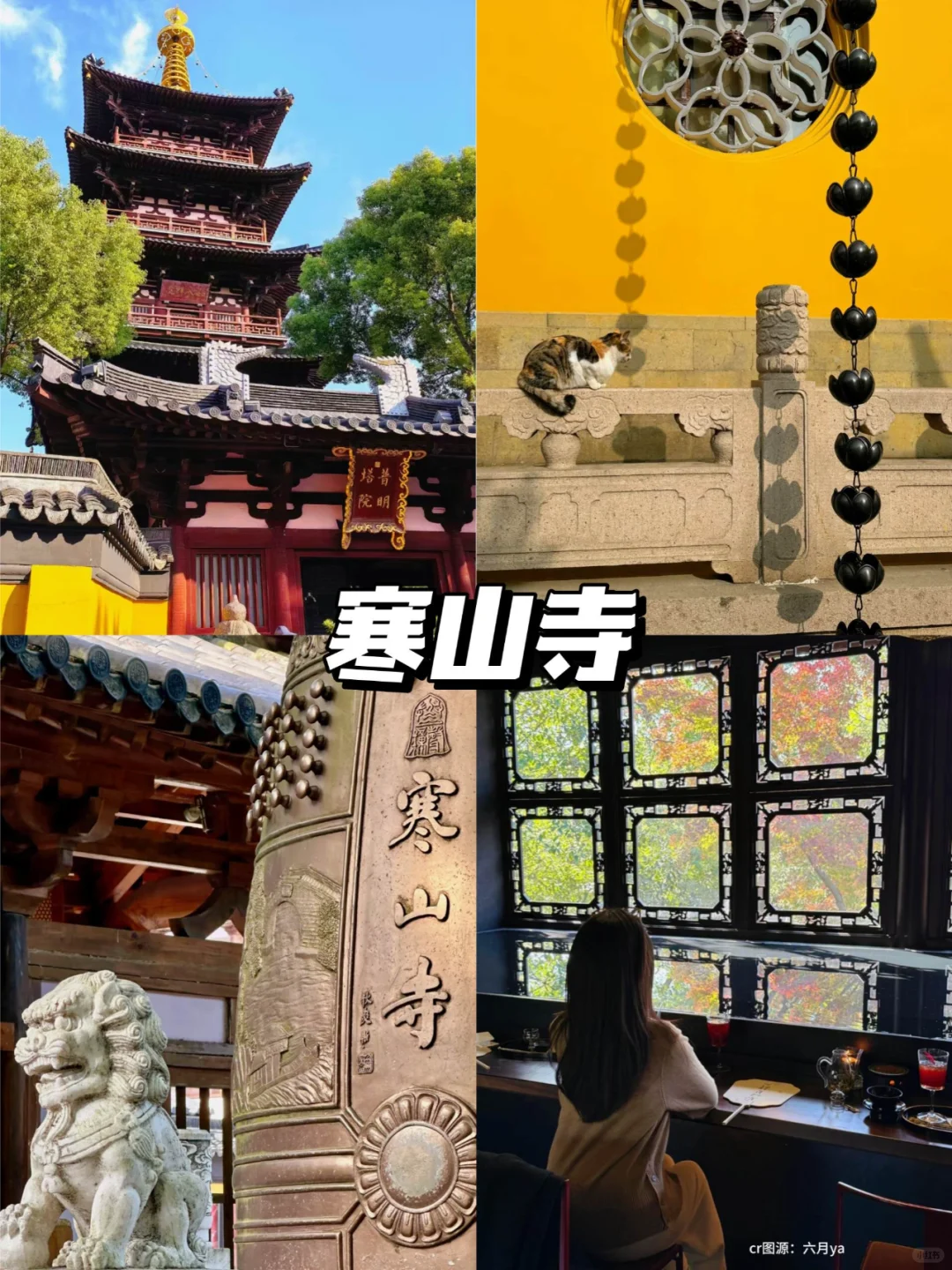 挑战2人花1580💰在苏杭吃喝玩乐4天！