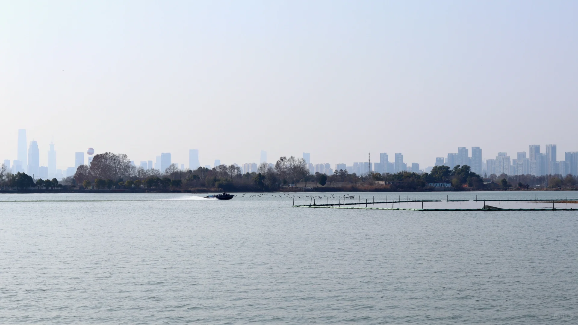 在东湖落雁寻找武汉的春天