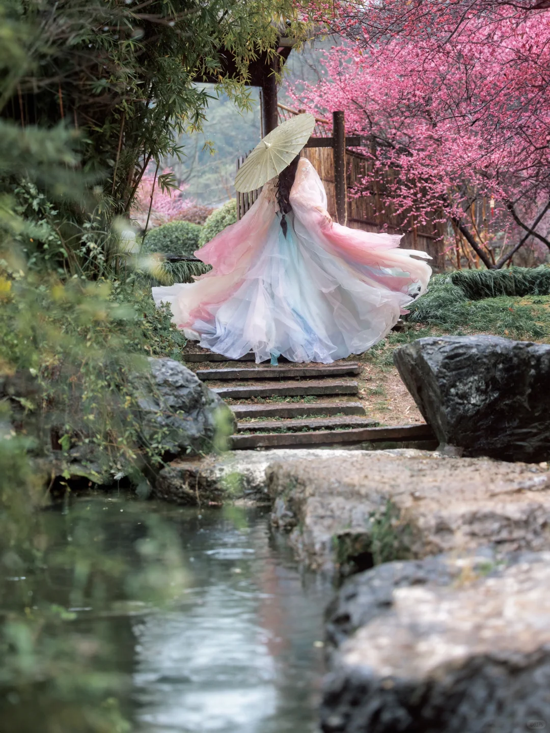 “风有约，花不误”仿佛来了梅花乡