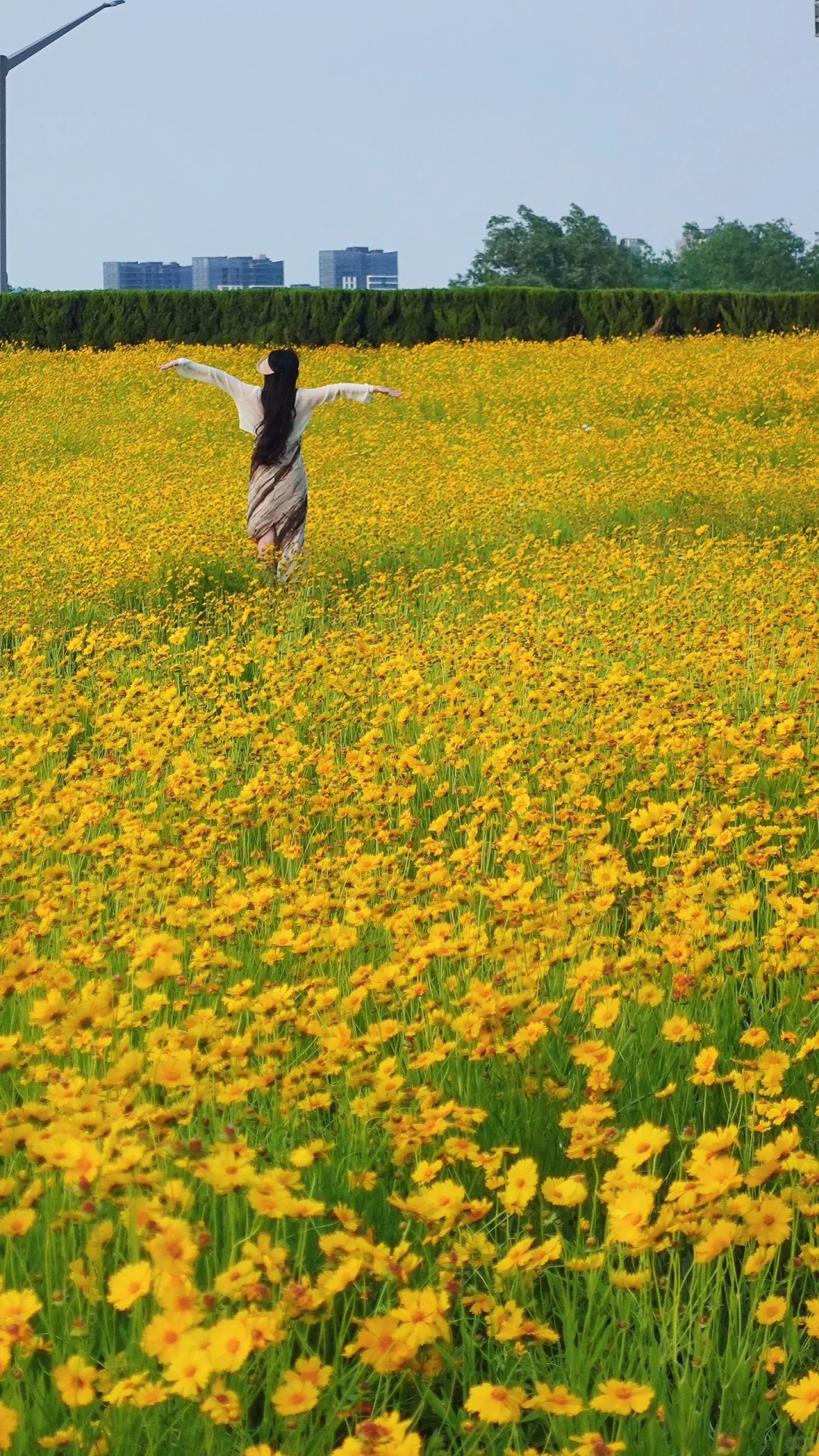 为了这18张图去了趟山东临沂……（附机位📍