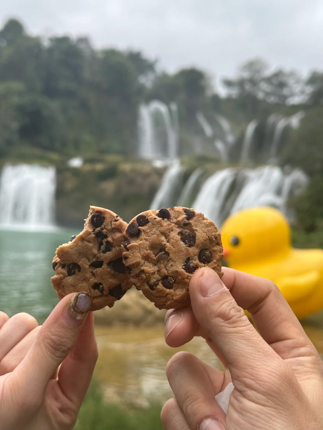 2.28 德天大瀑布 3.1 二月二峒那屿湾