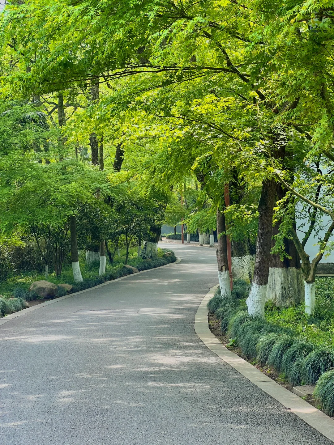 以为西湖已经够美了，直到我去了…🌿