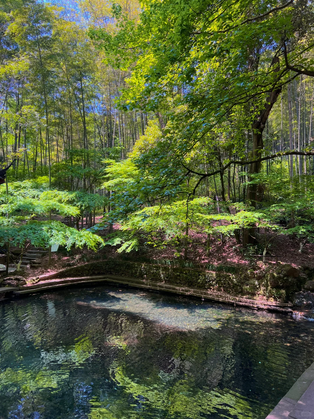 以为西湖已经够美了，直到我去了…🌿