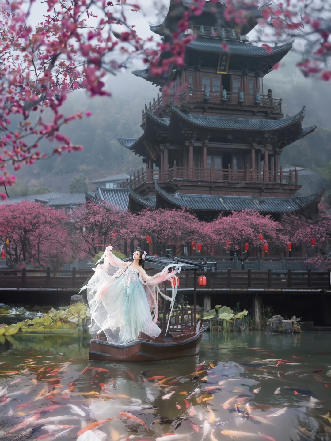 “风有约，花不误”仿佛来了梅花乡