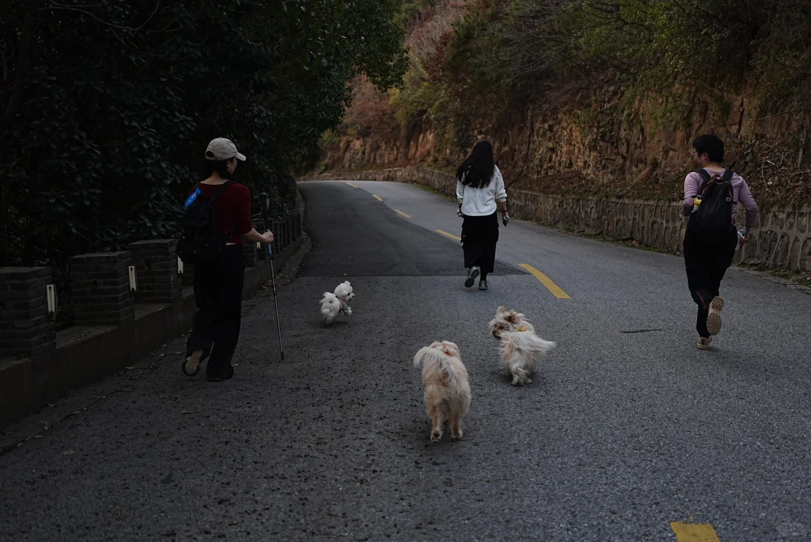 龙抬头，带狗狗拜财神，登缥缈峰