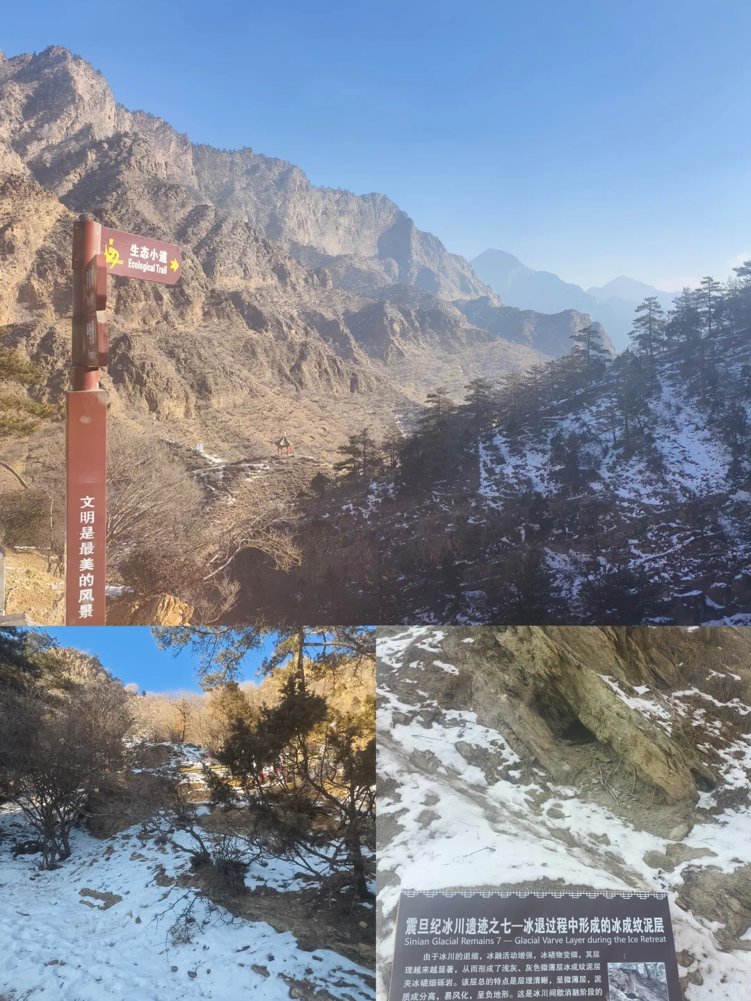 🚌景区直通车直达｜贺兰山国家森林公园