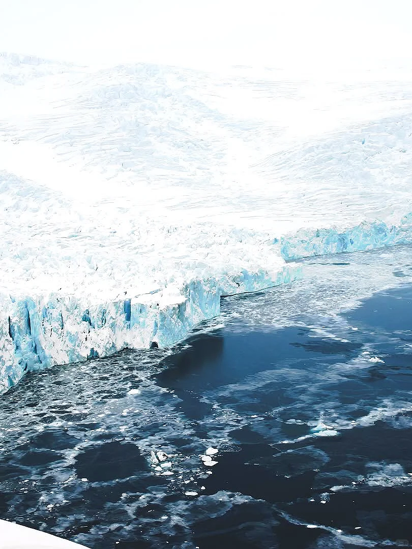 南极没想象中那么贵！去一趟真实花💰费清单