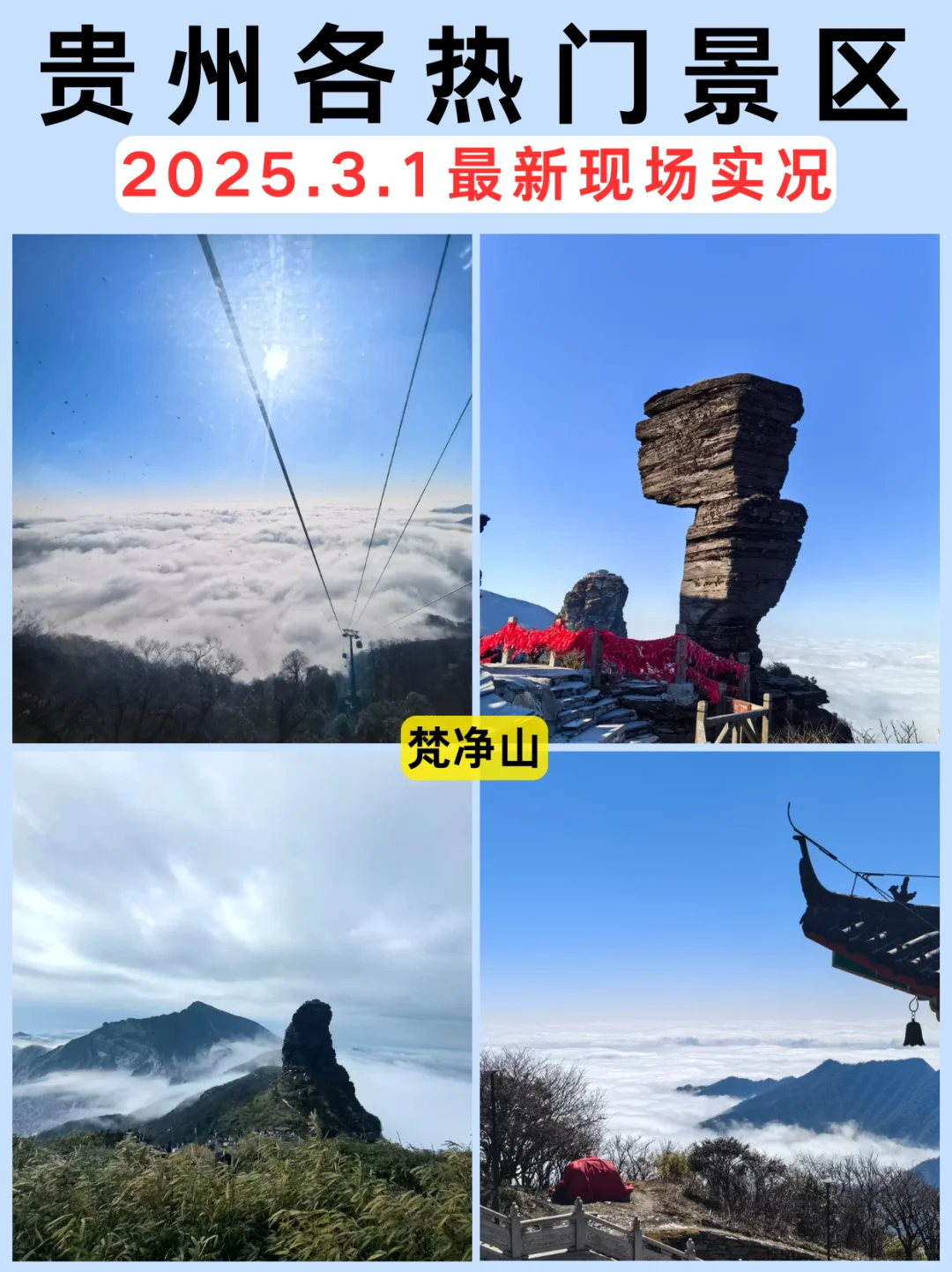 🌸【3月1日贵州热门景区实况】🌸