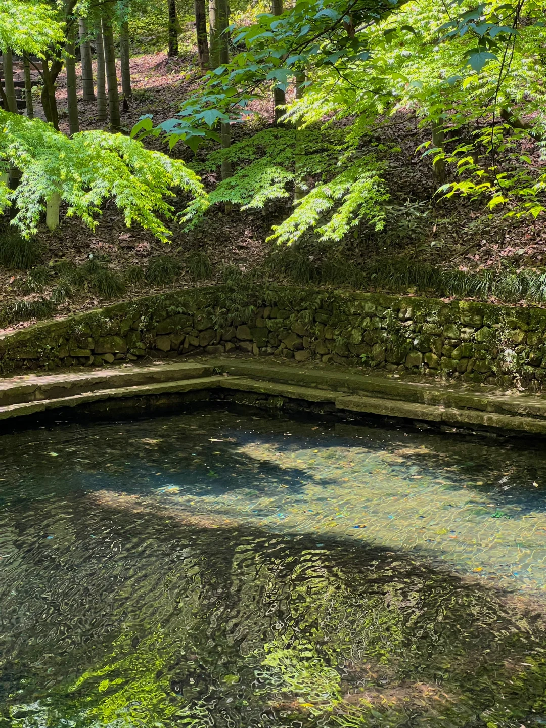 以为西湖已经够美了，直到我去了…🌿