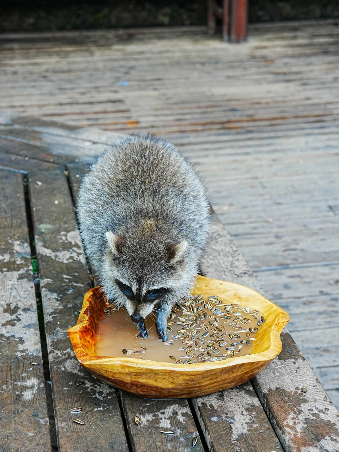 普洱和版纳已回，还没来的姐妹，挺点大实话