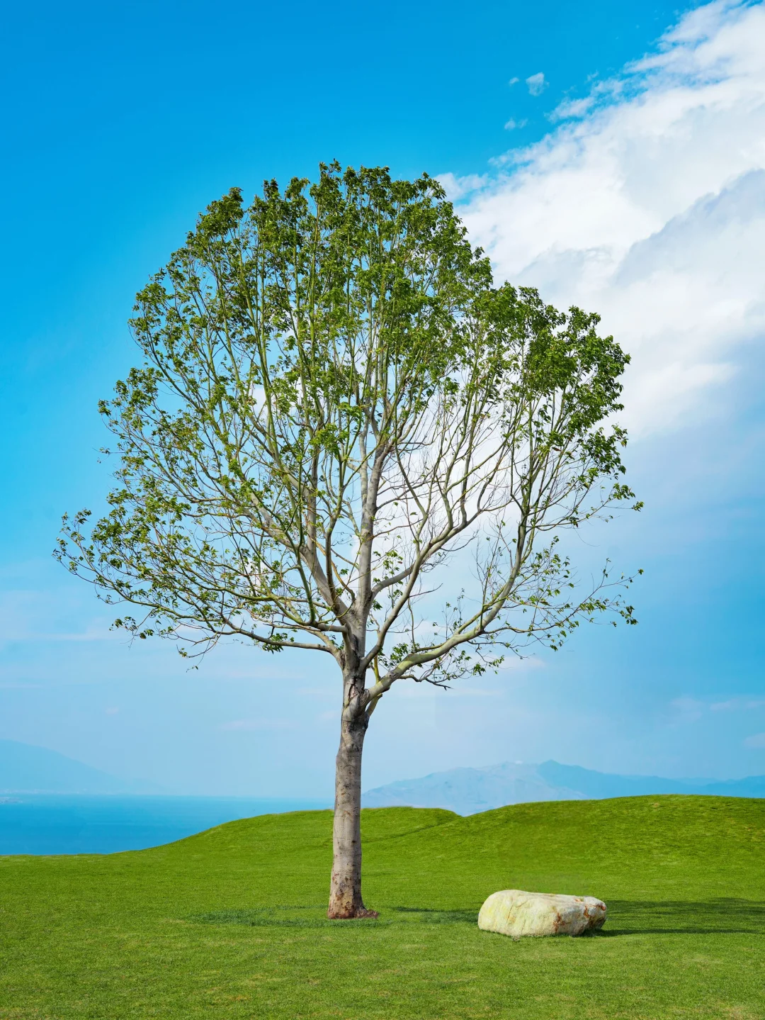淡季的大理简直是人间理想！！美到封神！！！