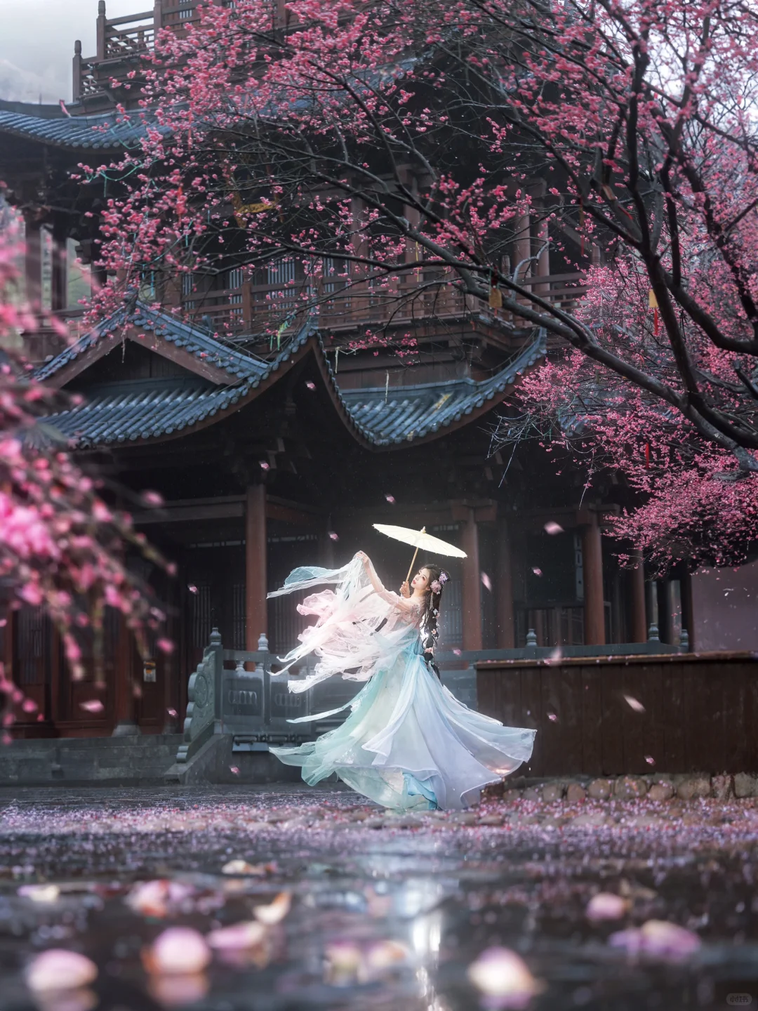 “风有约，花不误”仿佛来了梅花乡