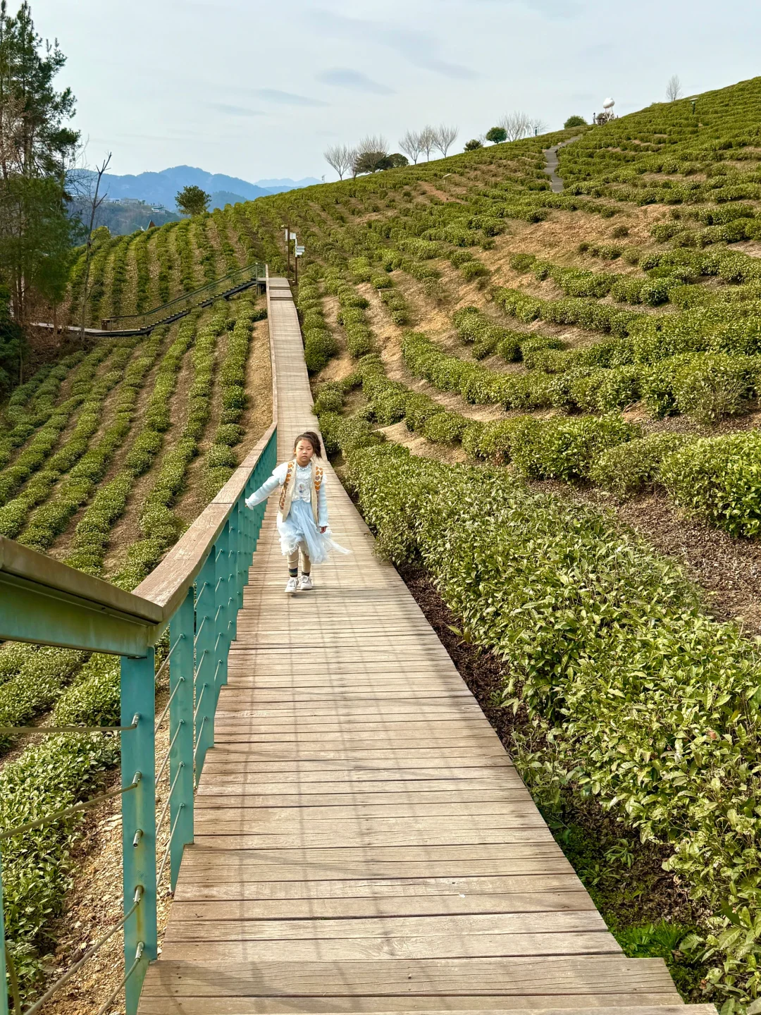 西安－紫阳换个IP过周末，人均200躺平式旅游！