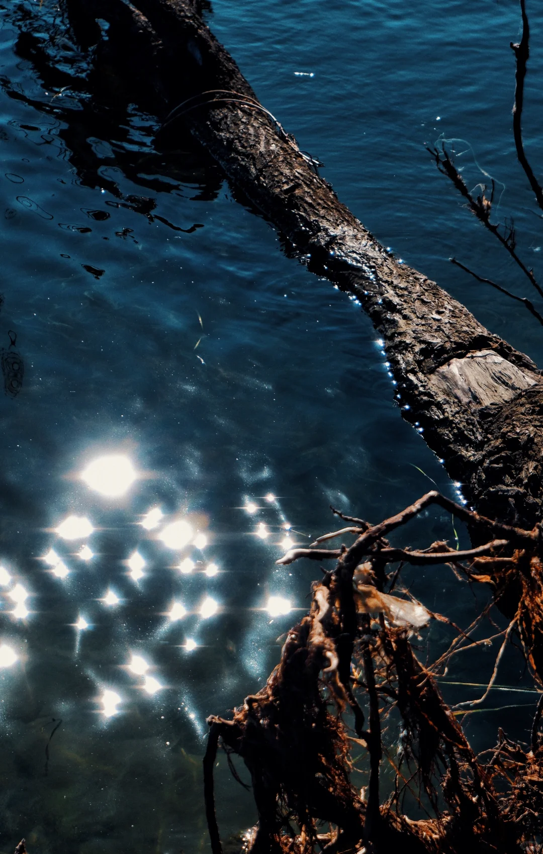 🌈云南旅行|去了1⃣️9⃣️次不踩雷攻略