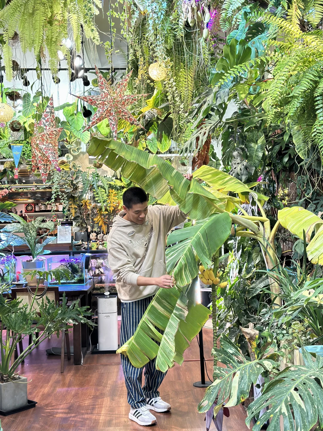 旅游攻略🎫广州华南植物园门票！可当现金用！