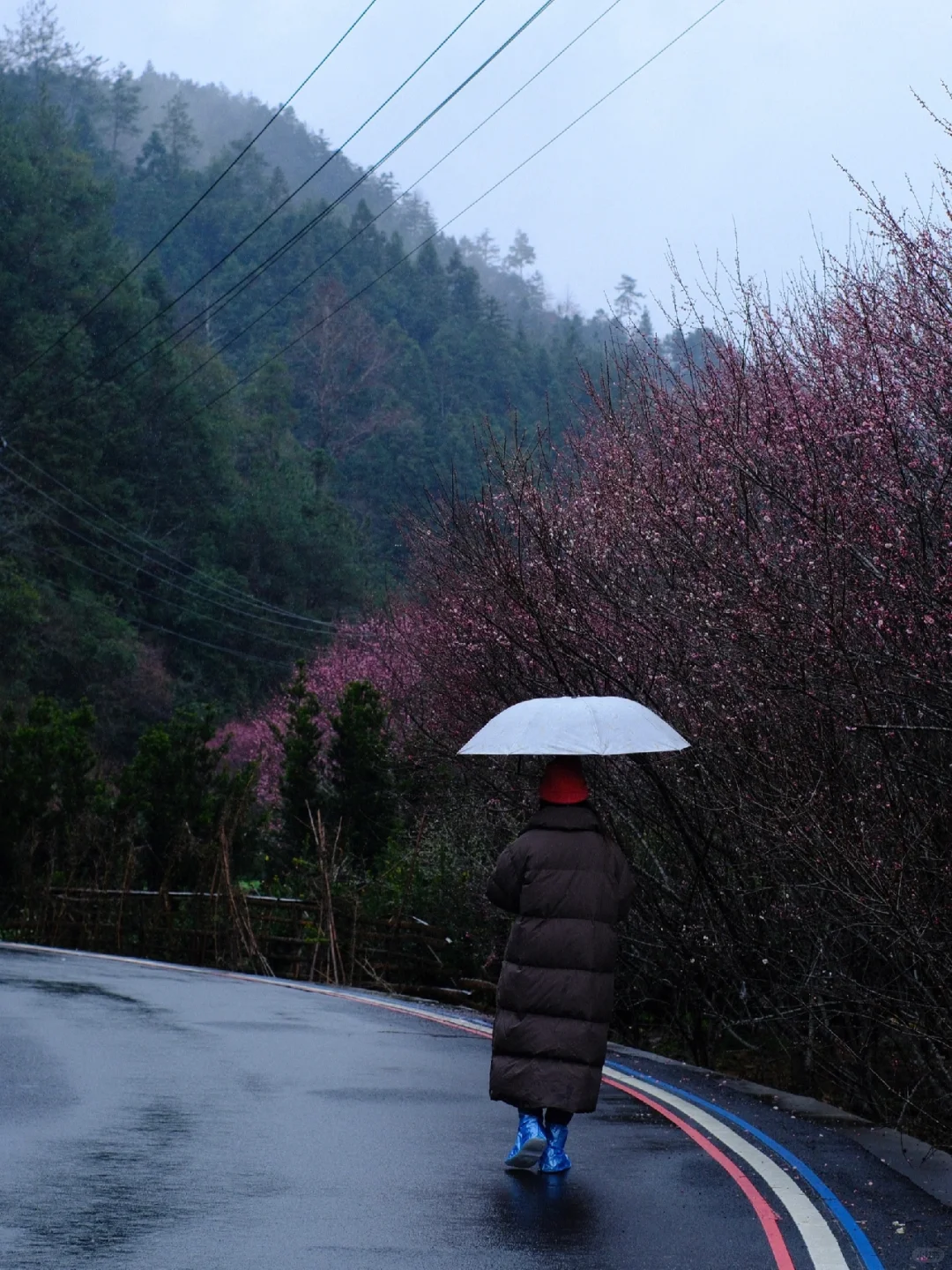 早春的徽州真的很美