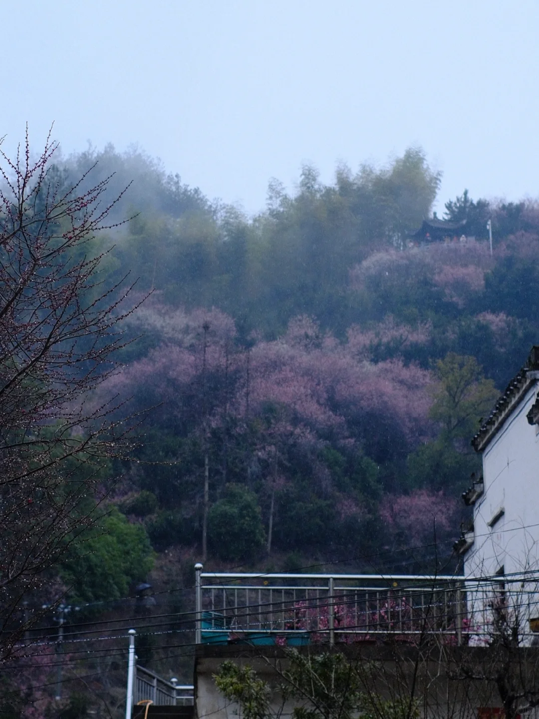 早春的徽州真的很美